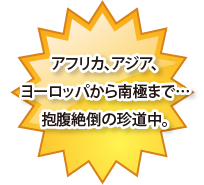 アフリカ、アジア、ヨーロッパから南極まで…抱腹絶倒の珍道中。